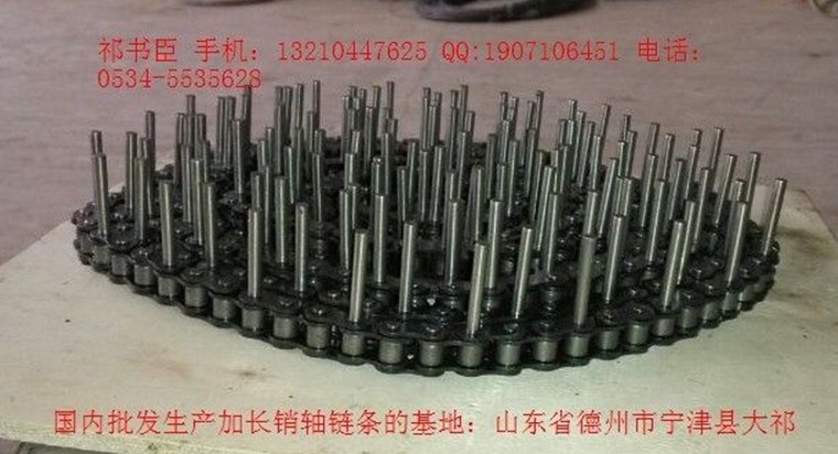 C2162型长轴链条 节距101.6毫米